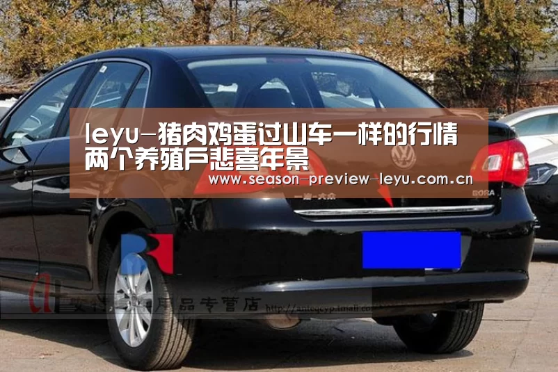 leyu-猪肉鸡蛋过山车一样的行情两个养殖户悲喜年景(图2) 乐鱼入口